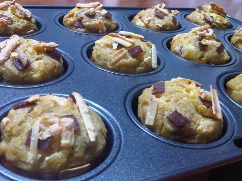 IMG01236-20110409-1318