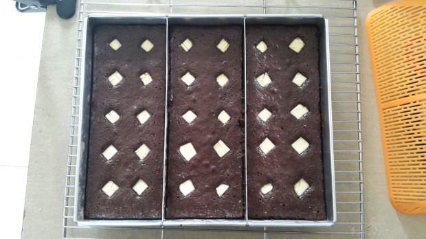 20141118_113852.jpg image